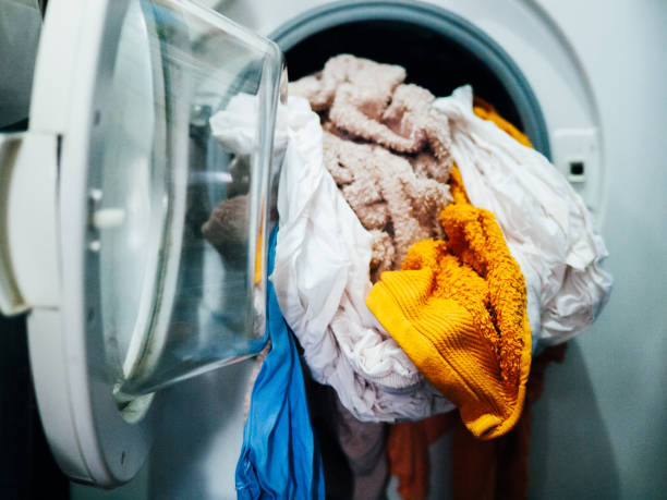 Mold from a Washing Machine